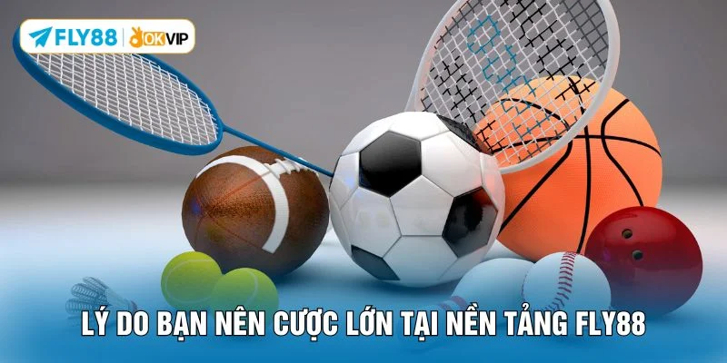 Lý do bạn nên cược lớn tại nền tảng FLY88